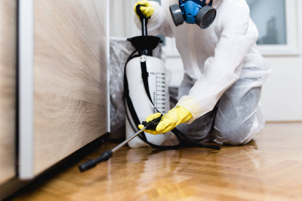 Best Cockroach Control Services  in Lawrence, MA