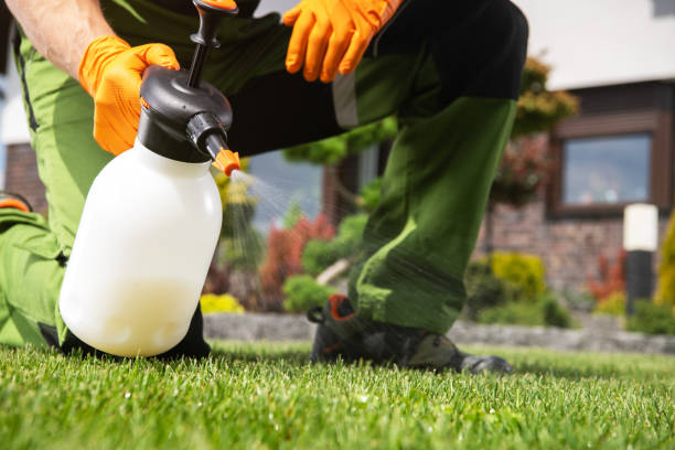 Best Local Pest Control Services  in Lawrence, MA