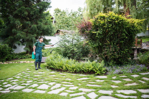 Professional Pest Control in Lawrence, MA
