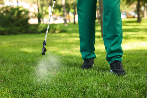 Best Best Pest Control Near Me  in Lawrence, MA