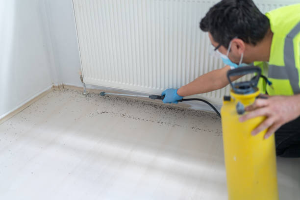 Best Affordable Pest Control Services  in Lawrence, MA