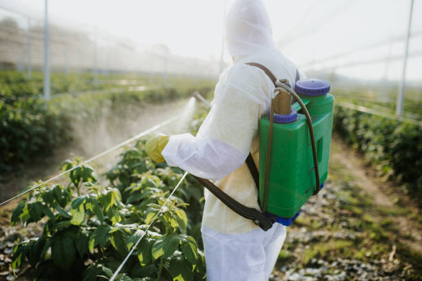 Best Pest Prevention Services  in Lawrence, MA